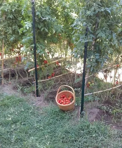 Casa Catalogna , Vicino Al Centro Storico.