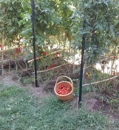 Casa Catalogna , Vicino Al Centro Storico.